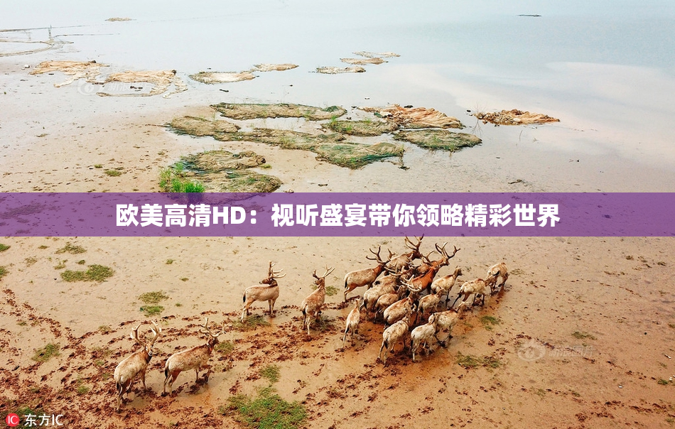欧美高清HD：视听盛宴带你领略精彩世界