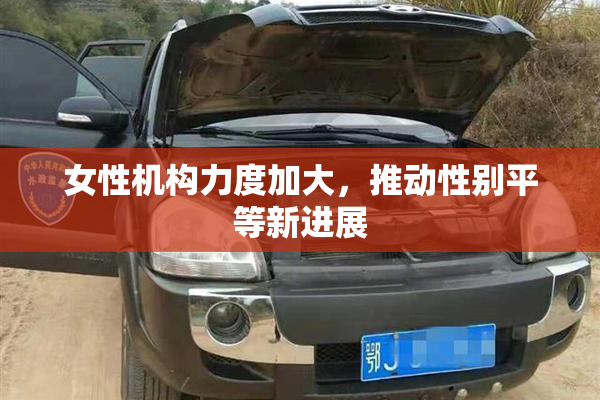 女性机构力度加大，推动性别平等新进展