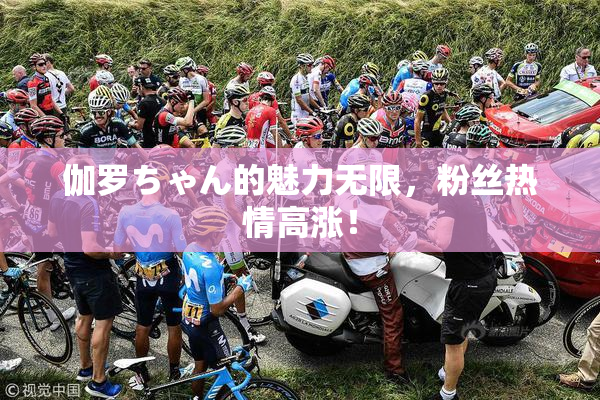 伽罗ちゃん的魅力无限，粉丝热情高涨！