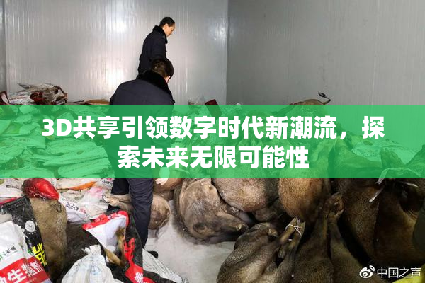 3D共享引领数字时代新潮流，探索未来无限可能性