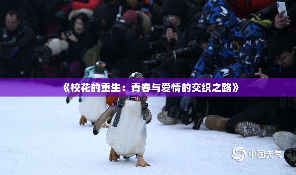《校花的重生：青春与爱情的交织之路》