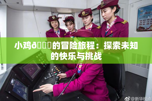 小鸡🐔的冒险旅程：探索未知的快乐与挑战