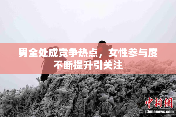 男全处成竞争热点，女性参与度不断提升引关注