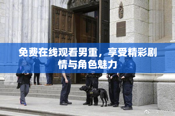 免费在线观看男重，享受精彩剧情与角色魅力