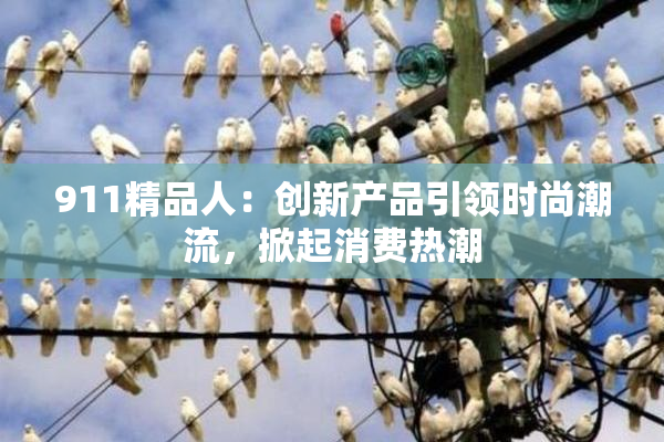 911精品人：创新产品引领时尚潮流，掀起消费热潮