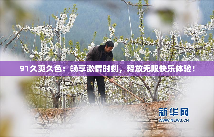 91久爽久色：畅享激情时刻，释放无限快乐体验！
