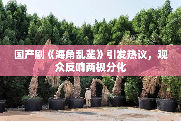 国产剧《海角乱辈》引发热议，观众反响两极分化