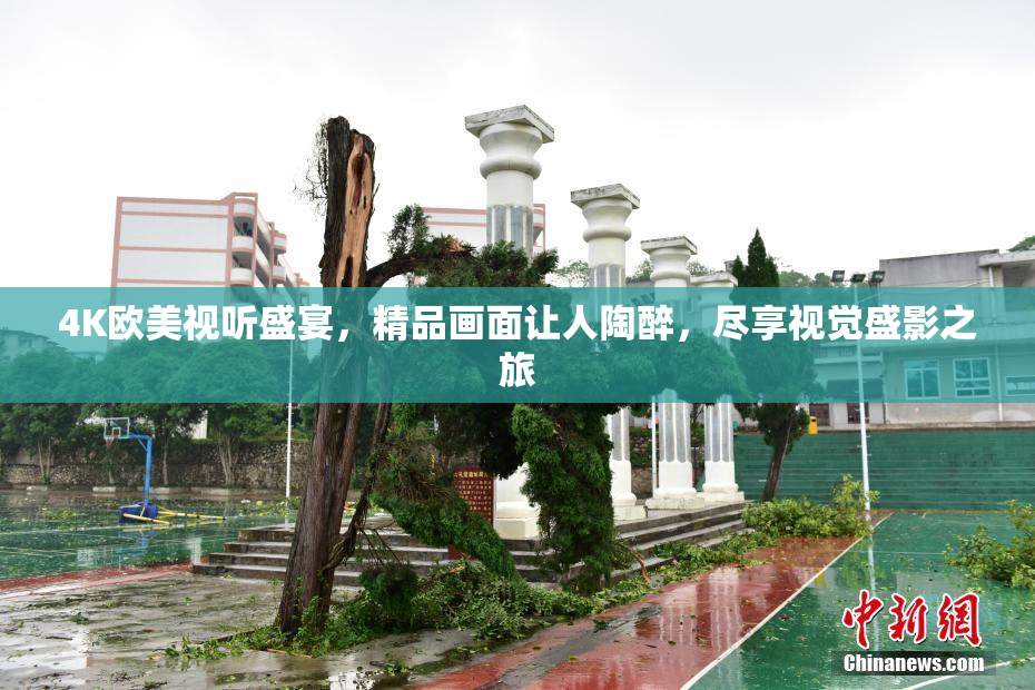 4K欧美视听盛宴，精品画面让人陶醉，尽享视觉盛影之旅