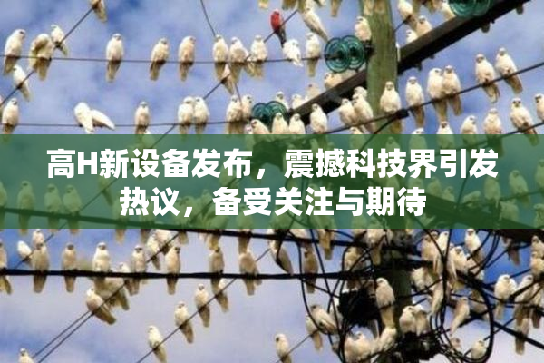 高H新设备发布，震撼科技界引发热议，备受关注与期待