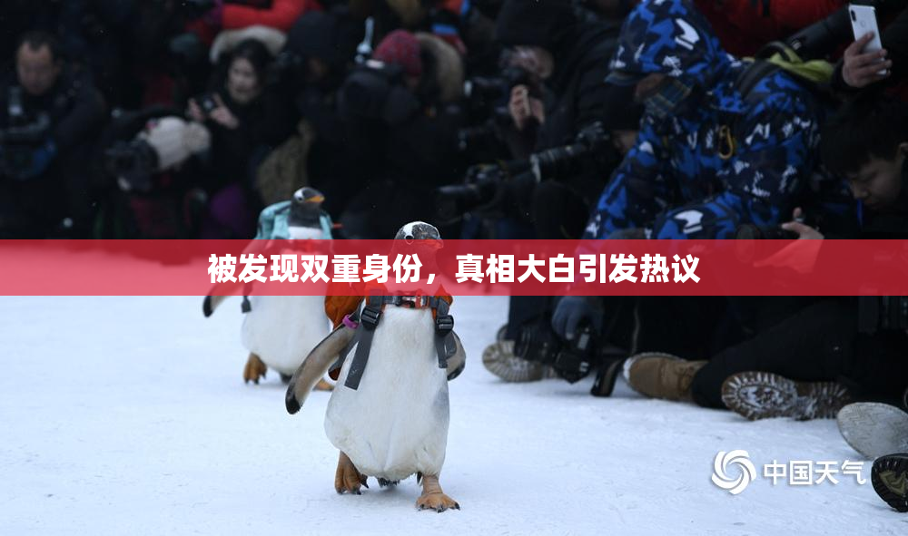 被发现双重身份，真相大白引发热议