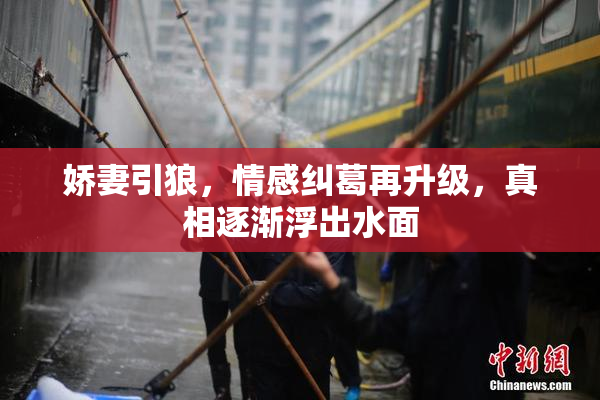 娇妻引狼，情感纠葛再升级，真相逐渐浮出水面