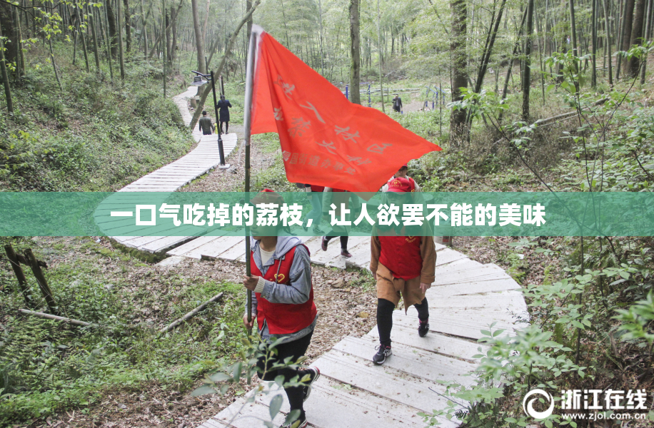 一口气吃掉的荔枝，让人欲罢不能的美味