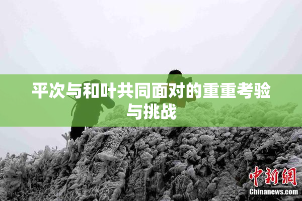 平次与和叶共同面对的重重考验与挑战