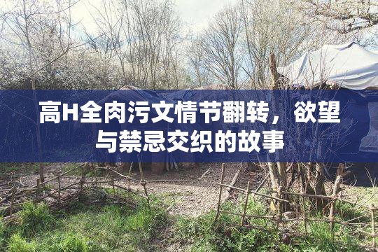 高H全肉污文情节翻转，欲望与禁忌交织的故事