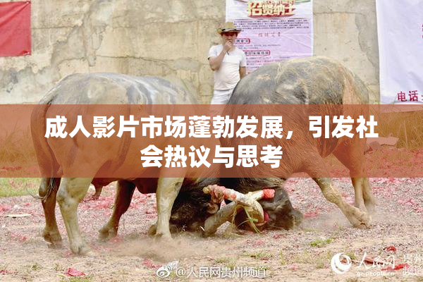 成人影片市场蓬勃发展，引发社会热议与思考
