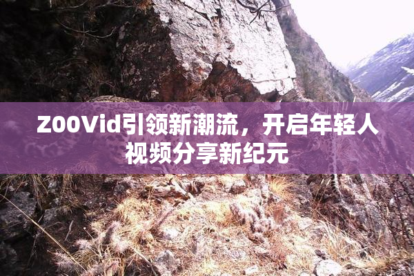 Z00Vid引领新潮流，开启年轻人视频分享新纪元
