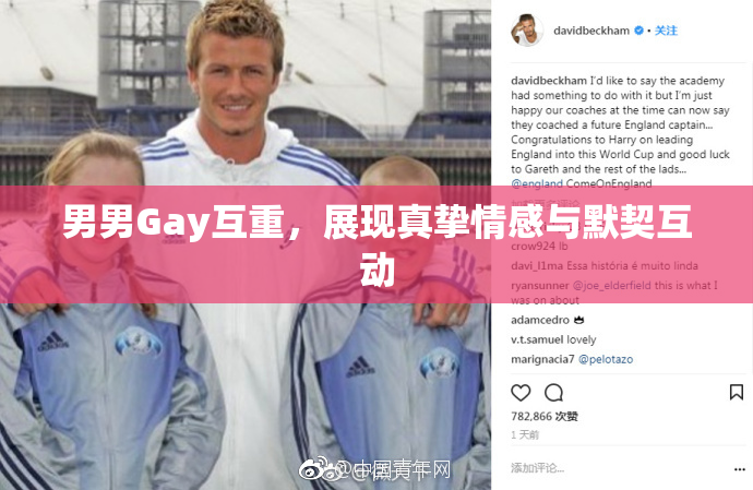 男男Gay互重，展现真挚情感与默契互动