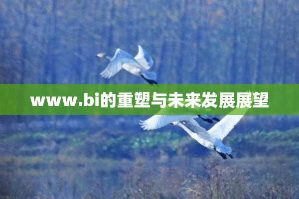www.bi的重塑与未来发展展望