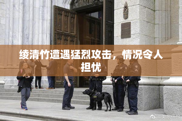 绫清竹遭遇猛烈攻击，情况令人担忧