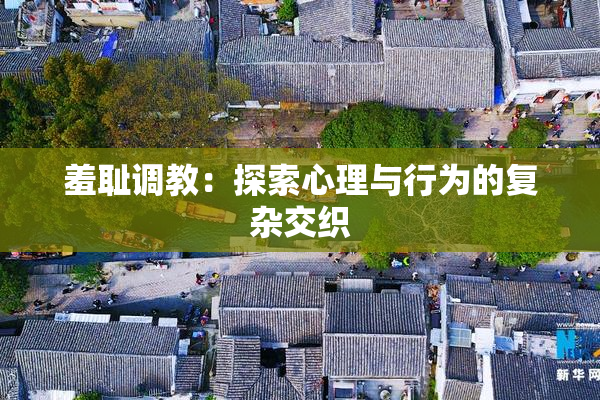 羞耻调教：探索心理与行为的复杂交织