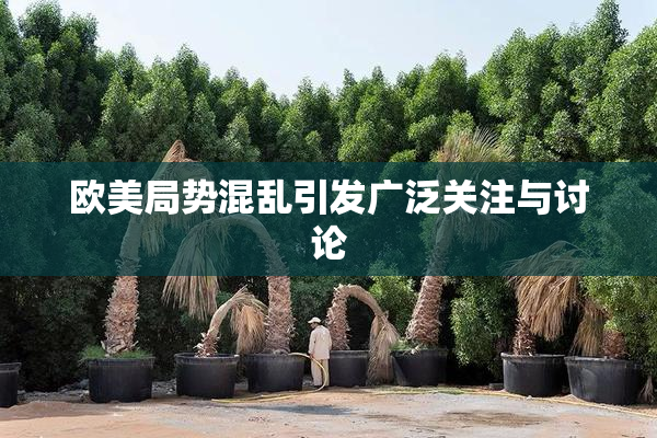 欧美局势混乱引发广泛关注与讨论