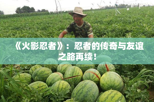 《火影忍者》：忍者的传奇与友谊之路再续！