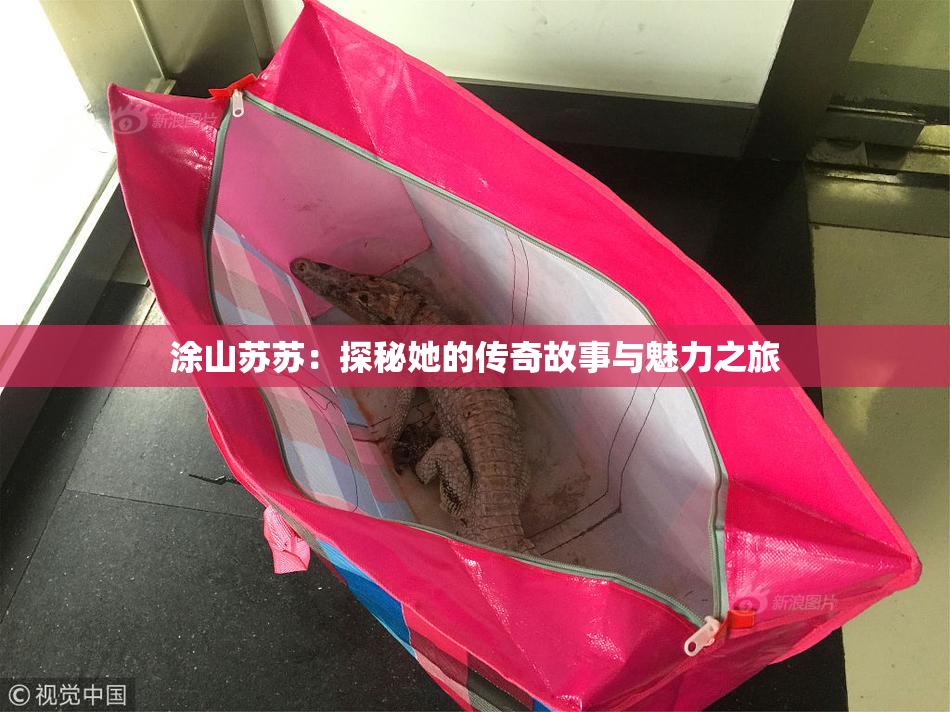 涂山苏苏：探秘她的传奇故事与魅力之旅