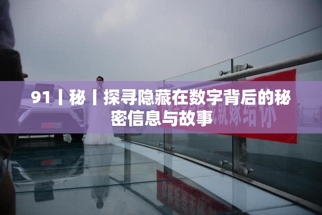 91丨秘丨探寻隐藏在数字背后的秘密信息与故事