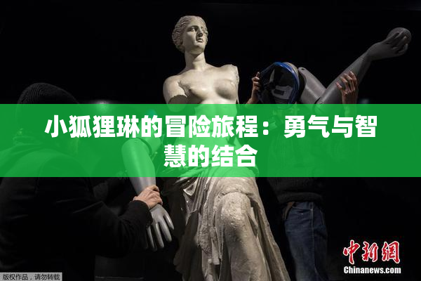 小狐狸琳的冒险旅程：勇气与智慧的结合