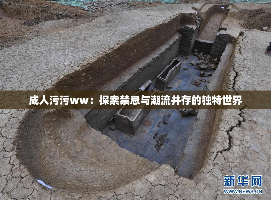 成人污污ww：探索禁忌与潮流并存的独特世界