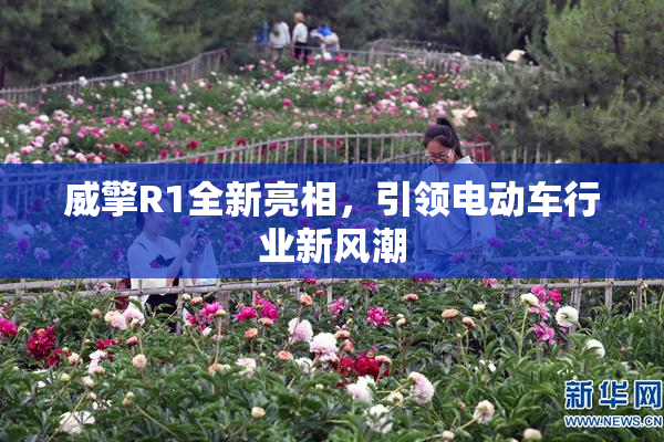 威擎R1全新亮相，引领电动车行业新风潮