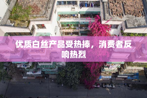 优质白丝产品受热捧，消费者反响热烈