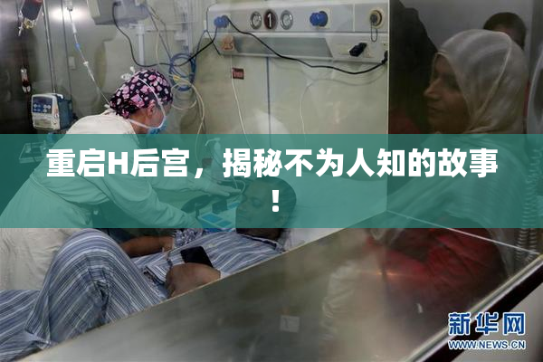 重启H后宫，揭秘不为人知的故事！