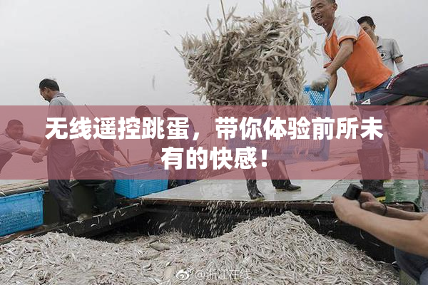 无线遥控跳蛋，带你体验前所未有的快感！