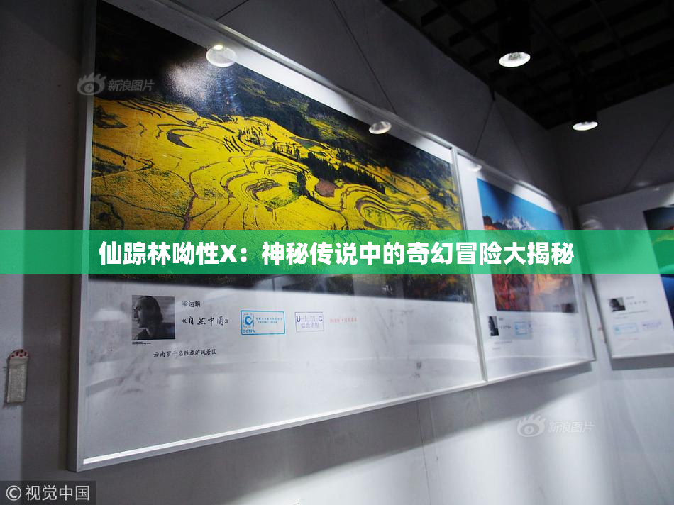 仙踪林呦性X：神秘传说中的奇幻冒险大揭秘