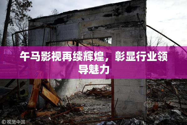 午马影视再续辉煌，彰显行业领导魅力
