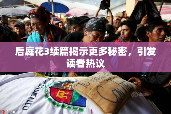 后庭花3续篇揭示更多秘密，引发读者热议