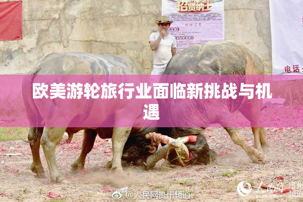 欧美游轮旅行业面临新挑战与机遇