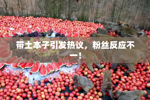 带土本子引发热议，粉丝反应不一！