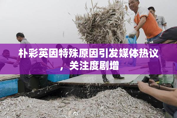 朴彩英因特殊原因引发媒体热议，关注度剧增