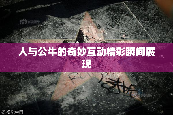 人与公牛的奇妙互动精彩瞬间展现