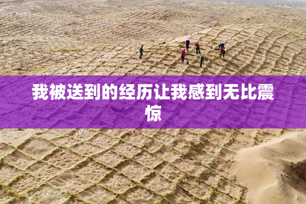 我被送到的经历让我感到无比震惊