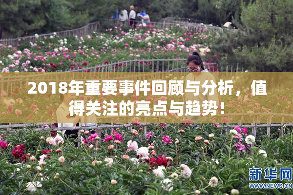 2018年重要事件回顾与分析，值得关注的亮点与趋势！