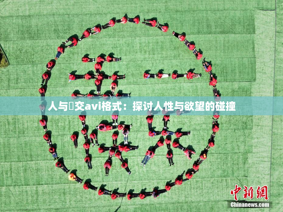 人与嘼交avi格式：探讨人性与欲望的碰撞
