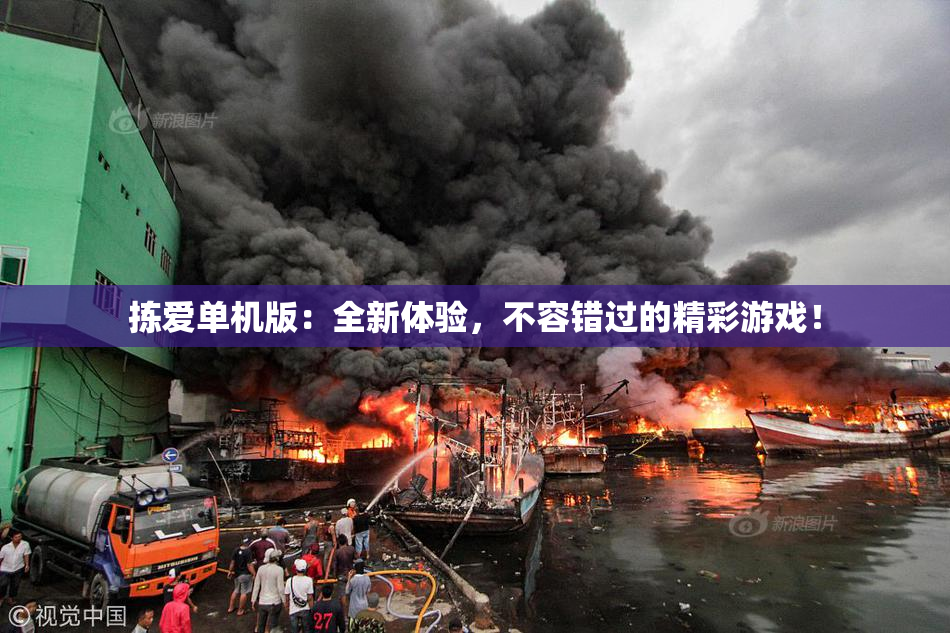 拣爱单机版：全新体验，不容错过的精彩游戏！