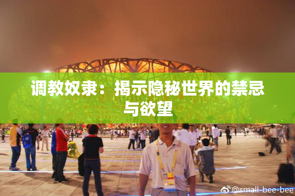 调教奴隶：揭示隐秘世界的禁忌与欲望