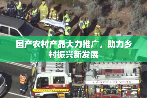 国产农村产品大力推广，助力乡村振兴新发展