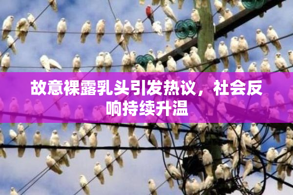 故意裸露乳头引发热议，社会反响持续升温