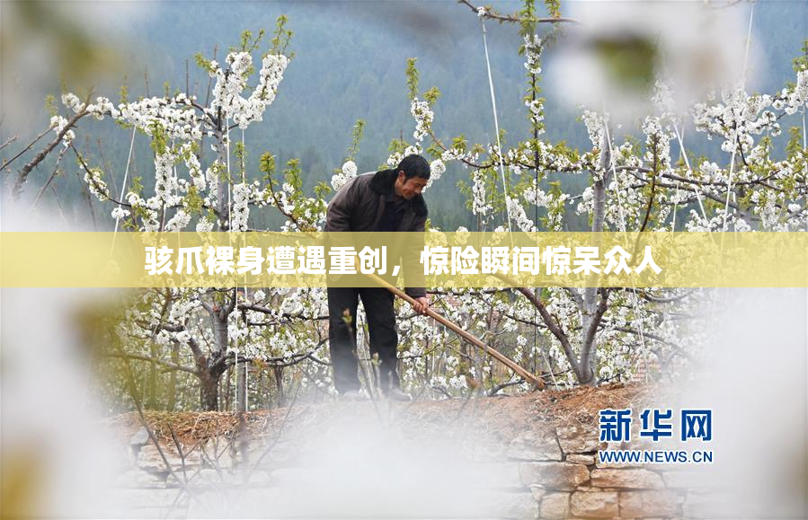 骇爪裸身遭遇重创，惊险瞬间惊呆众人