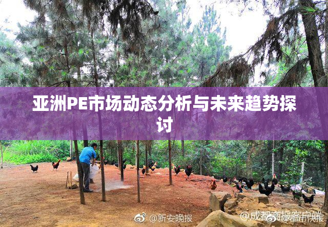 亚洲PE市场动态分析与未来趋势探讨